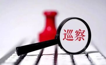 巡察干部述职述廉报告6篇
