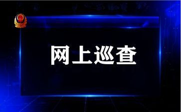 巡查组巡查工作总结8篇