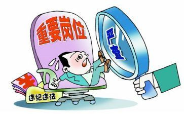 巡查组工作总结范文5篇