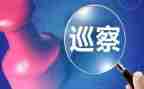 第巡察组工作计划6篇