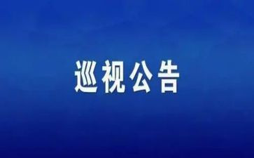 省巡视工作总结7篇