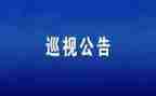 省巡视工作总结7篇