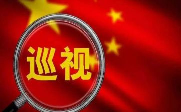 向巡视组报告工作报告6篇