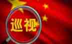 向巡视组报告工作报告6篇