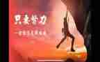 续聘述职报告8篇