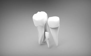 牙齿课活动方案6篇