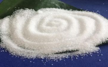 大班科学盐教案推荐7篇
