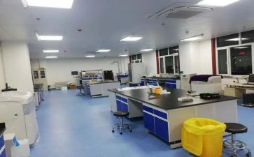 化验科室工作总结5篇