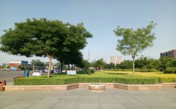 尧都区信息工作总结7篇
