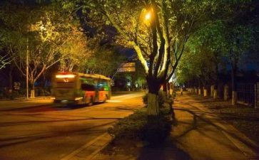 校园平安夜活动方案策划7篇