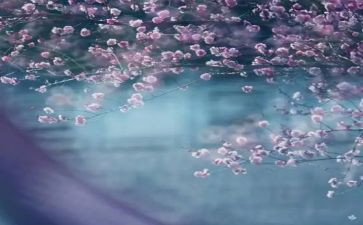 局一季度工作总结6篇