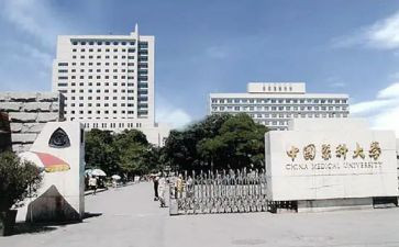 2023中医科工作计划6篇