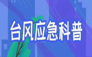 应急股工作总结精选8篇