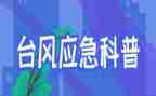 应急股工作总结精选8篇