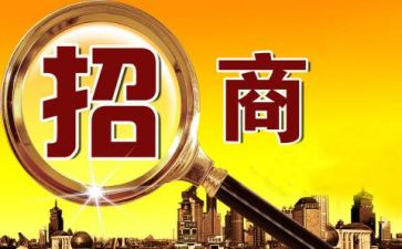 个人招商引资工作总结8篇