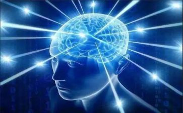 两个维护四个自信四个意识心得体会6篇
