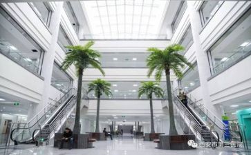 去医院工作计划精选5篇