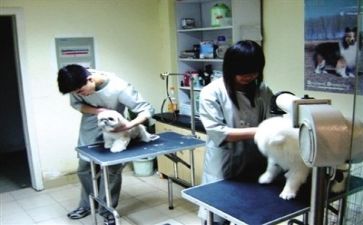 医院工作总结个人总结最新8篇