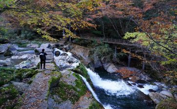 游览心得作文6篇