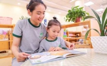 幼师个人述职报告7篇