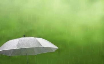 杭州的雨作文5篇