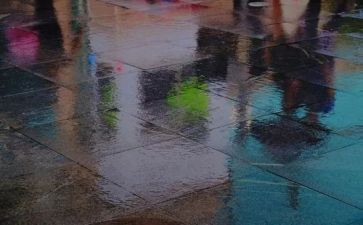 关于雨的作文模板7篇