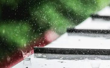 梅雨季防汛工作总结7篇