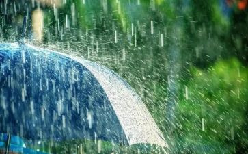 我与雨的故事作文600字优秀6篇