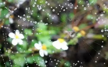 秋天的雨的读后感通用7篇