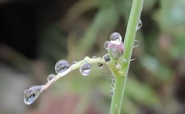 雷雨的心得通用7篇