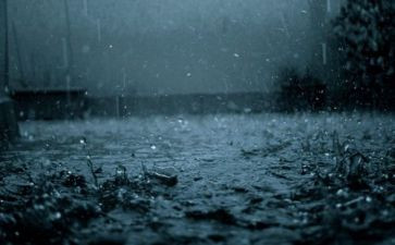 读雷雨心得体会5篇
