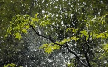秋雨作文500字8篇