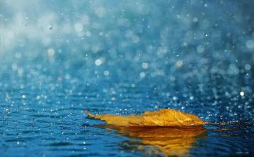 雷雨800字读后感7篇