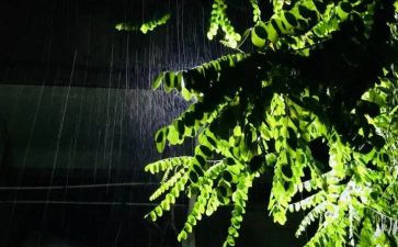 心中的雨作文800字8篇
