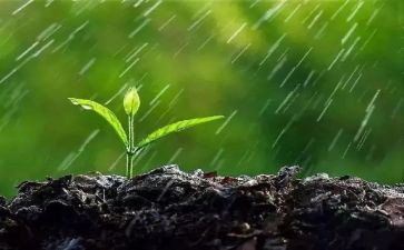 与雨拥抱作文600字通用6篇