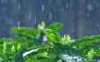 雨来读后感600字6篇
