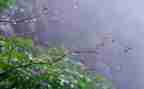 秋天的雨幼儿园教案模板5篇