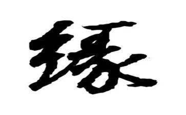 人狗奇缘的观后感6篇