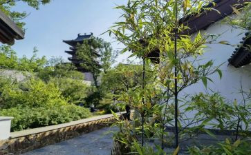 园博活动方案参考6篇