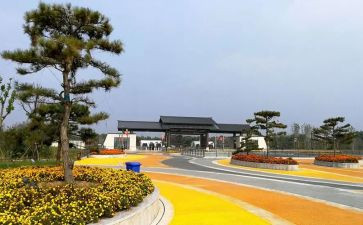 园博活动方案最新6篇