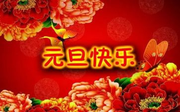 元旦活动个人总结7篇