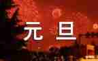 元旦幼儿活动方案参考8篇