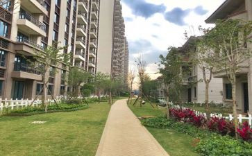 园建项目管理心得体会通用6篇