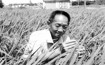 2024袁隆平的故事作文8篇