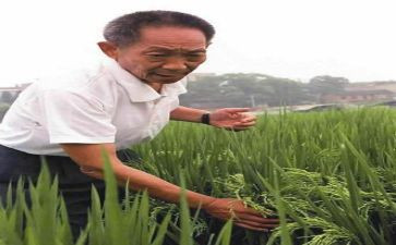 读袁隆平事迹心得体会最新5篇