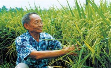 袁隆平生平事迹心得体会6篇