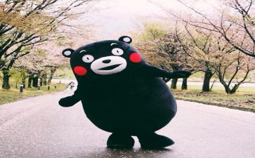 悦读与作文8篇
