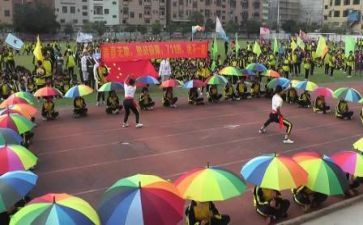 市运会观后感精选5篇