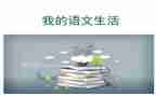 2024语文老师述职报告最新6篇