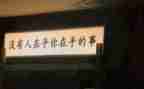 我在乎花作文8篇